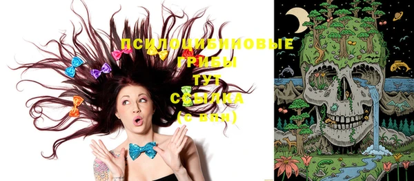 стафф Алексин