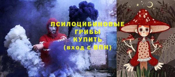 стафф Алексин