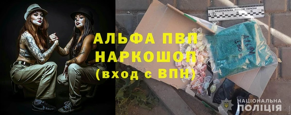 стафф Алексин