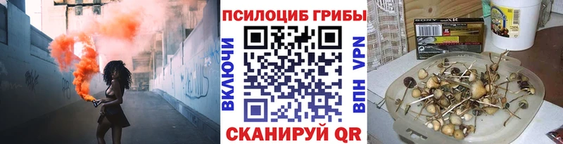 Галлюциногенные грибы Psilocybine cubensis  даркнет клад  Солигалич  blacksprut зеркало 